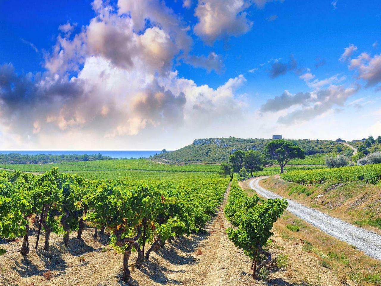 Le Chais By Interhome Narbonne Plage